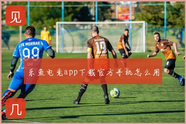 乐鱼电竞app下载官方手机怎么用
