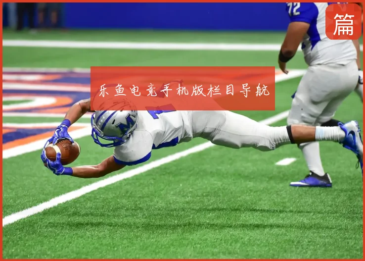 乐鱼电竞手机版栏目导航