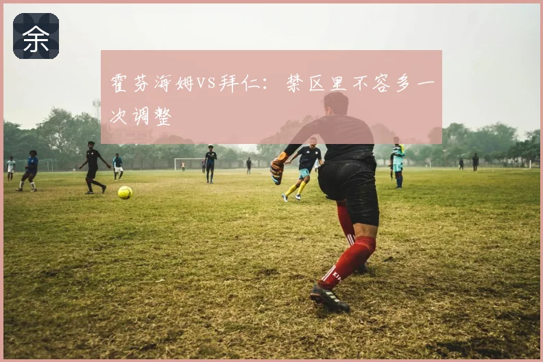 霍芬海姆vs拜仁：禁区里不容多一次调整
